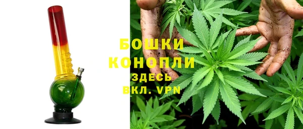 ПСИЛОЦИБИНОВЫЕ ГРИБЫ Снежинск